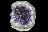 Purple Amethyst Cluster - Uruguay #66771-1